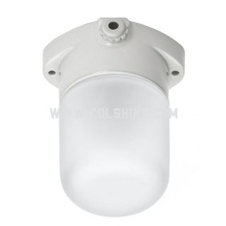 Sauna lamp 400