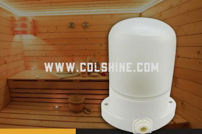 Colshine porcelain sauna lamp is the best lamp for sauna room